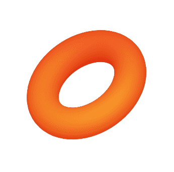 3D Torus Ring